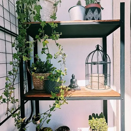 דירה Kintsugi House