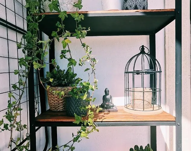 アパート Kintsugi House