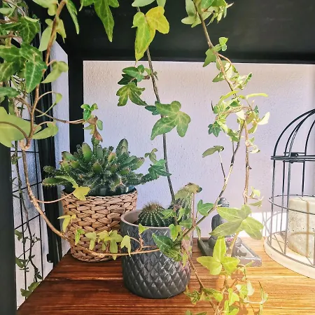 Lägenhet Kintsugi House Lagos