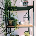 Διαμέρισμα Kintsugi House