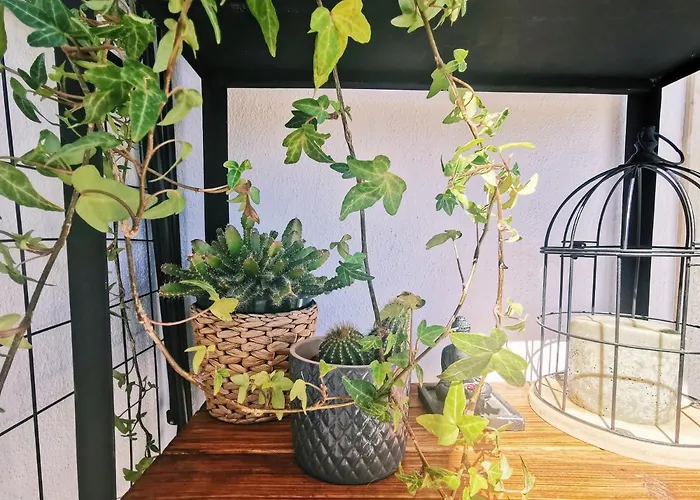 公寓 Kintsugi House 拉哥斯